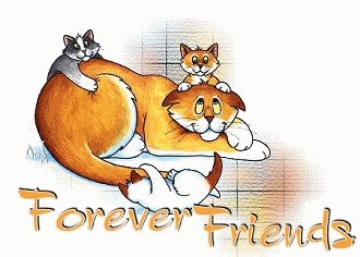 foreverfriendcats.gif